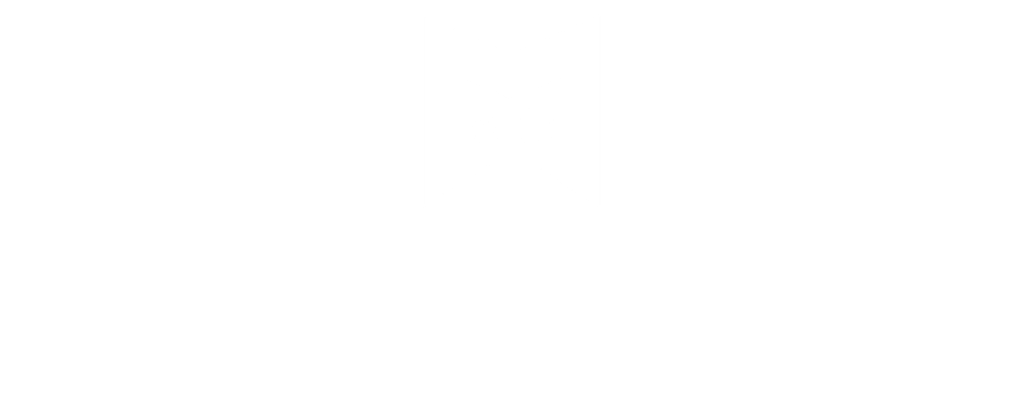 MOTOBLINXX